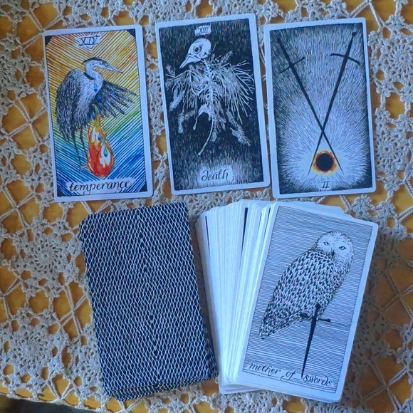 Wild Unknown Tarot Deck - Picture 4 of 5